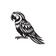 Parrot Silhouette Vector: A Simplified Depiction of Avian Beauty and Grace- Parrot vector stock.
