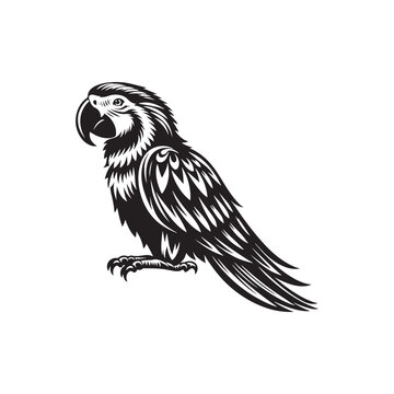 Parrot Silhouette Vector: A Simplified Depiction of Avian Beauty and Grace- Parrot vector stock.