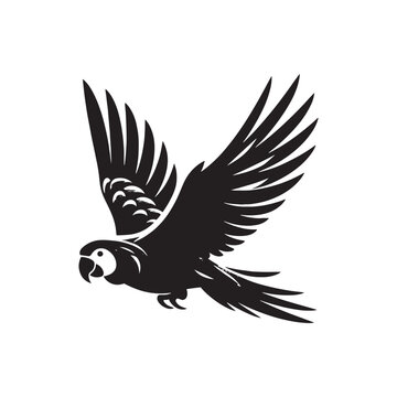 Parrot Silhouette Vector: A Simplified Depiction of Avian Beauty and Grace- Parrot vector stock.