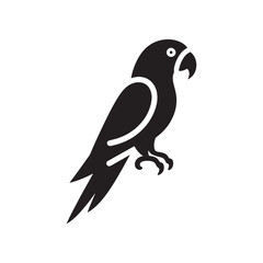Parrot Silhouette Vector: A Simplified Depiction of Avian Beauty and Grace- Parrot vector stock.