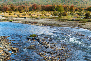 Tierra del Fuego National Park, Patagonia, Argentina