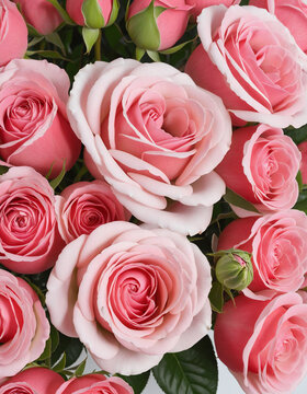 Red and pink roses bouquet colorful background
