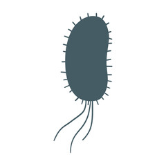 Bacteria