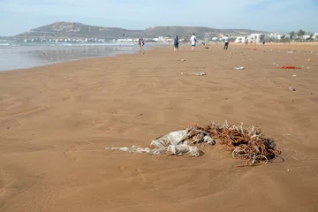 Foto op Aluminium Agadir Morocco. Plastic pollution along the tide line of the beach. © Richard