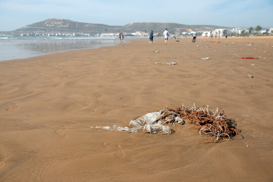 Agadir Morocco. Plastic pollution along the tide line of the beach.