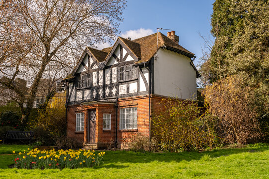 The exterior of au unidentifiable Tudor style period property, with daffodils growing in the garden, in the countryside