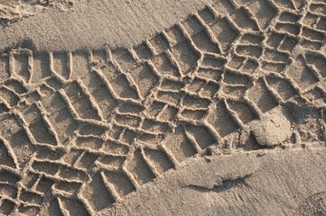 Ijmuiden / Zandvoort. Car tracks in the sand - obrazy, fototapety, plakaty