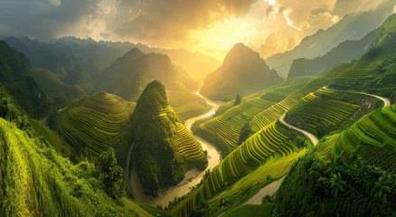 Foto op Plexiglas A panoramic view of terraced rice fields in Vietnam, with the winding river flowing through them and lush greenery on mountainsides © Kien
