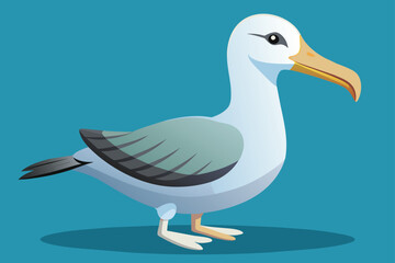 albatross illustrati on vector e.eps
