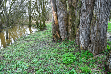 Belgique wallonie riviere eau environnement vallée de la Lesse - 766239349