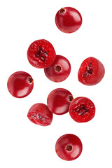 Fresh red cranberries falling on white background
