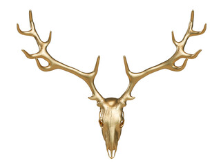 Gold deer skull with horns or Image of deer skull on transparency background