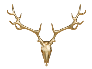 Gold deer skull with horns or Image of deer skull on transparency background