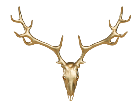 Gold deer skull with horns or Image of deer skull on transparency background