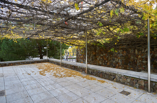 Terrace of a bar without people or tables surrounded by vegetation with a roof of branches and dry leaves on the ground
