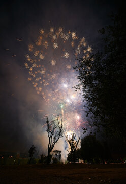 Fireworks at night with some smoke and silhouettes of vegetation