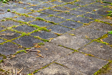 photo of a dirty mossy sidewalk with a few leaves scattered around