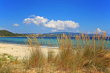 Beautiful summer view of Xirpotamo beach, Halkidiki, Greece