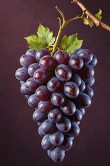 grape on vine