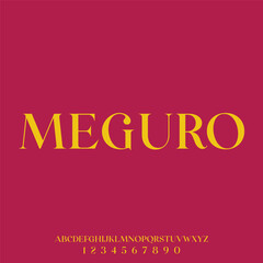 elegant and modern alphabet font vector