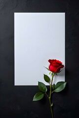 A blank white paper along with a red rose on a dark background
