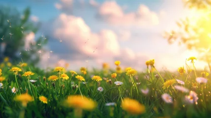 Foto op Canvas Beautiful meadow field with fresh grass and yellow flowers in nature against a blurry blue sky with clouds. Summer spring perfect natural landscape, generative ai  © OP38Studio