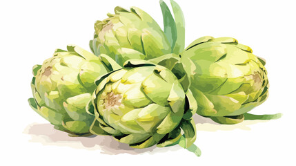 Artichokes Watercolour Flat vector isolated on white