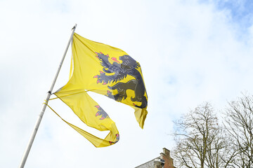 Belgique Flandres drapeau flamand dechiré vent - 766260913