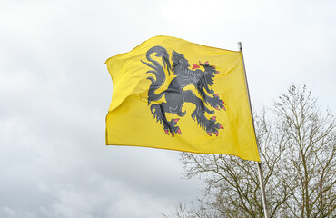 Belgique Flandres drapeau flamand - 766260936