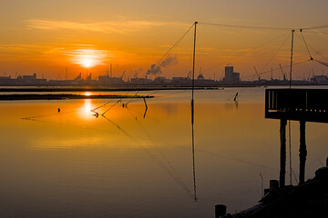 Sunset at Pialassa Piomboni (Marina di Ravenna, Italy)