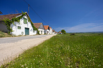 Traditional wine cellars street in Diepolz near Mailberg, Lower Austria, Austria