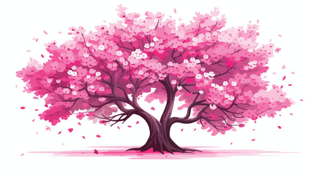 Cherry blossom tree isolated on white background