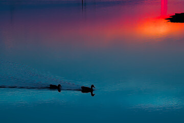 Sunset at Pialassa Piomboni (Marina di Ravenna, Italy)