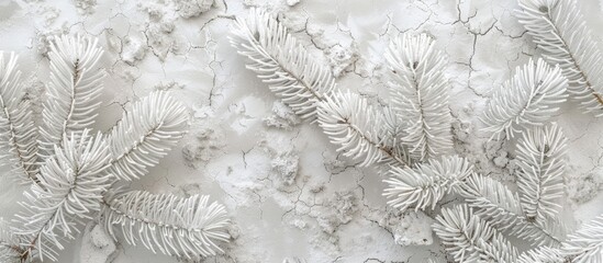 A closeup of a Terrestrial plant, covered in freezing snow, with grey twigs and a beautiful pattern of white snowflakes. Monochrome photography highlighting the natural beauty of winter