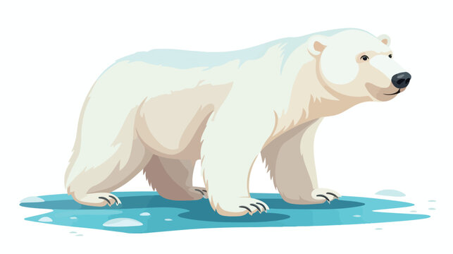 Drawings of a cute cartoon polar bear Flat vector isolated