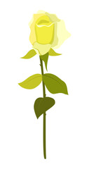 One yellow rose. Blooming rose flower on a stem with green leaves. Hand drawn vector illustration on white background for design of cards, wedding invitations, print, banner.