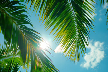 Serenity in Nature, Silhouetted Palm Leaves under Azure Skies