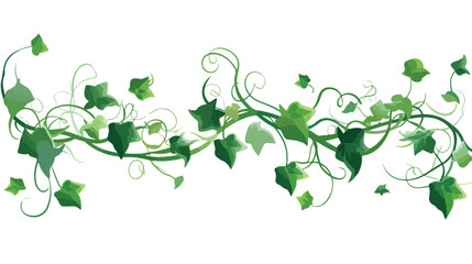 Green vine plant model Flat vector isolated on white - obrazy, fototapety, plakaty
