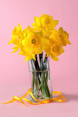 Yellow daffodils in a vase on a pink background,copy space