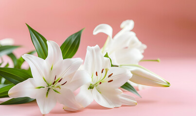 Fresh white lilies on pastel menthe light pink background, Generative AI