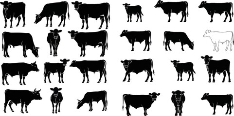 Farm livestock cow pictogram or countryside domestic milk cows, calf and bulls. Isolated vector icons set - obrazy, fototapety, plakaty