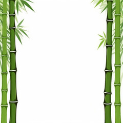 a bamboo frame on a white background, 