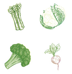 vegetables, set of vegetable icons, transparent background: tomato, basil, pumpkin, cauliflower, corn and others
