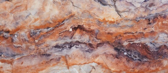 A detailed closeup of a bedrock outcrop with a stunning marble texture, resembling a piece of art. The landscape painting features intricate patterns, perfect for depicting wildlife, plants, or fur