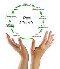 Nine Components of Data Lifecycle