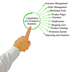 Ten Capabilities of e-Commerce Solutions