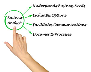  Four Functions of Business Analyst