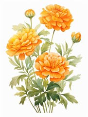 Watercolor marigold clipart with orange and yellow blooms