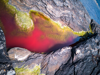 Bright red coloured rockpool due to bloom of algae