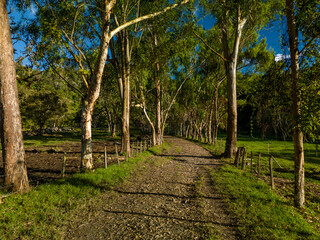  Farm Road through Mountain Landscape, Chiriqui, Panama - stock photo